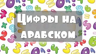 Цифры на арабском языке | арабский вместе