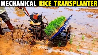 Mechanical Rice Transplanting | Paddy Planting Machine