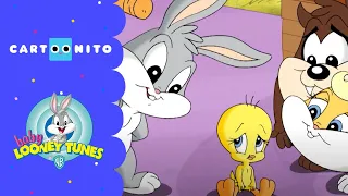 Baby Looney Tunes | Der Fahrraddeal | Cartoonito