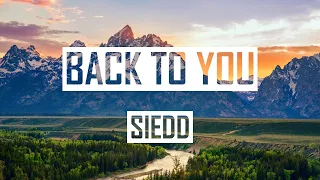 Siedd - Back To You  I Lyric Video