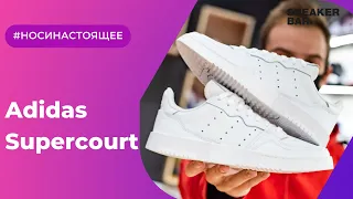 Adidas Supercourt White (EE6037) Onfeet Review | sneakers.by