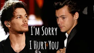 Harry & Louis - I'm sorry I hurt you