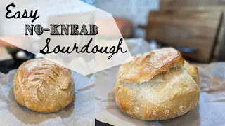 Sourdough Bread Recipe for Beginners - No Knead