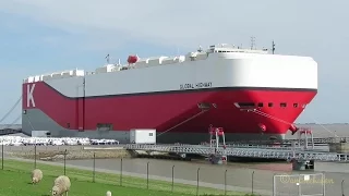 car carrier GLOBAL HIGHWAY 3FUI8 IMO 9726695 Emden roro cargo ship merchant vessel Autotransporter