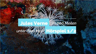 Jules Verne - 20.000 Meilen unter dem Meer 1/2 | Blackscreen, Einschlafen