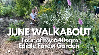June Tour Permaculture Food Forest | UK Allotment Garden