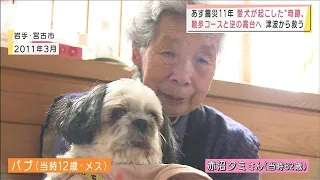 【震災11年】津波から飼い主を守った老犬　行政を動かす(2022年3月10日)
