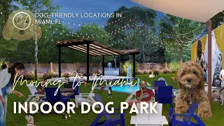 Dog Friendly Places in Miami | Bark Square!