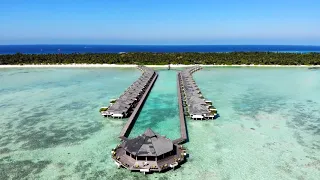 Мальдивы - это Рай!  Отдых в Sun Island Resort & Spa