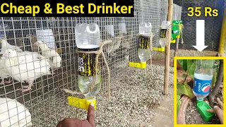 35 ரூபாயில் அருமையான 'Water Drinker' - For Chicken, Quail, Pigeon & Fancy birds