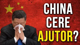 China Intra Oficial in COLAPS?