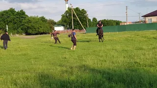 Заездка Кабардинского жеребца. Аул Егерухай.