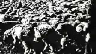 H.A. Lettow, Ernst Schäfer: Geheimnis Tibet (1943) (filmed 1938-1939) Subtitled