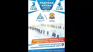 «Динамо-Алтай» Барнаул — «Маршал» Новосибирск [03.03.2018 | СХЛ | Карандин-Арена]