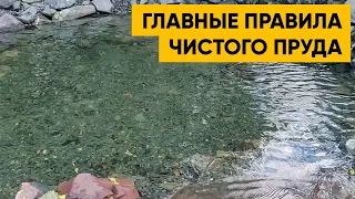 ПРОЗРАЧНАЯ ВОДА В ПРУДУ. Как построить кристально чистый пруд? Пример прозрачного пруда.