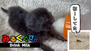 【赤ちゃん猫がはじめて〇〇〇しました！】ミルクを片付けている間に「ど～ん♪にょろろっ～」★出したら飲む！★4日目〈保護猫〉～Kitten growth record～