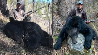 Idaho Black Bear Hunting DOUBLE HEADER! - The Balance #5 - Limitless 65