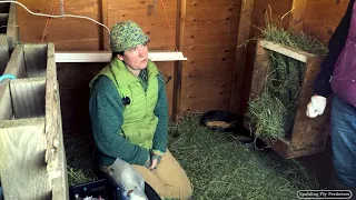 Large Animal Vet Dr. Jenni Grimmett Accesses A Sick Sheep