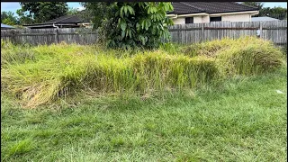 Part II - 30°c Heat Couldn’t Stop Me From Redoing This Elderly Couple’s Overgrown Yard