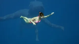 Ocean Dance "Olga"