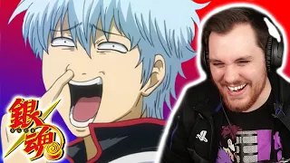 GINTAMA All Openings 1-21 REACTION | Anime OP Reaction