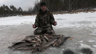 ВОТ И ПОКОРЁН ПЕРВЫЙ ЛЁД! Крутое открытие зимней рыбалки! Ловля щуки  по перволёдке на жерлицы!