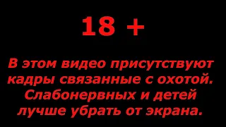 ВЕСНОВКА 2023  Часть 10  СОБИРАЕМ ДОБЫТЫХ УТОК  ЖИЗНЬ В ТАЙГЕ  БЛЮДО "ВЕСНОВКА 23"