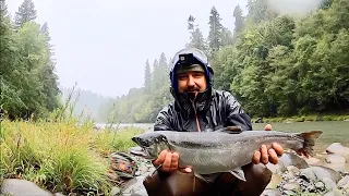 СЧАСТЛИВАЯ БЛЕСНА, ПРОДОЛЖЕНИЕ. ЛОСОСЬ - КИЖУЧ. РЫБАЛКА В АМЕРИКЕ. ПЛЮС БОНУС.