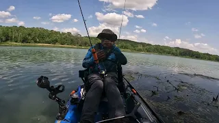 Bluegill Bonanza!