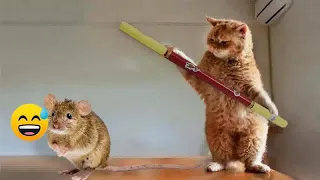 🐕 When a silly Cat becomes your best friend 😹 Funny Cats Videos 2024 😂😂