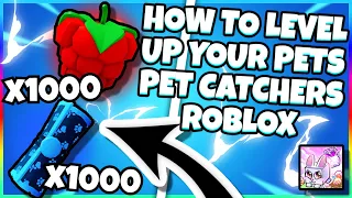 HOW TO LEVEL UP YOUR PETS Pet Catchers Roblox