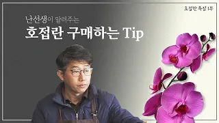 호접란 키우고 싶은데.. 구매는 어떻게 해야할까??? - 2024 호접란 특집 1부 [난알아요]