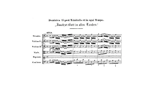 J. S. Bach: Jauchzet Gott in allen Landen, BWV 51 (Guy Touvron, trumpet) I