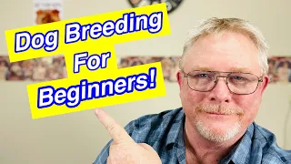 How To Breed Dogs - 5 Tips For Beginners!