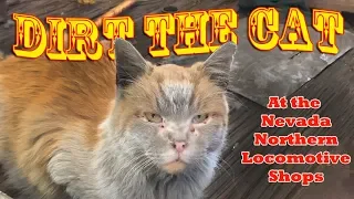 The Worlds Most Famous Cat.-  Dirt the Cat at the Nevada Northern Locomotive Shops