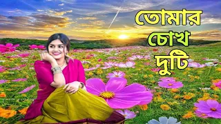 তোমার চোখ দুটি🎧Dj2024🥀MT Remix🎧😍🥰🎧🎼🎧🎼