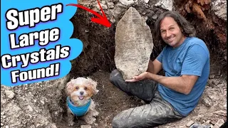 GIANT Smoky Quartz Crystal Discovery in Montana!