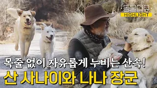 [동물극장 유튜브 오리지널] 산속을 목줄 없이 뛰어다니는 자유로운 견생⛰ 지리산 사나이와 장군, 나나 🐶 | 동물극장 단짝 EP53 | KBS 230318 방송