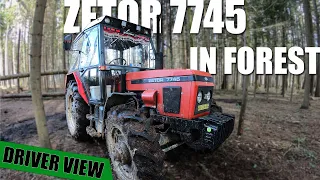 Zetor 7745 in forest | GoPro/driver view