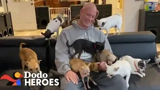 This Guy's Addicted to Rescuing Chihuahuas | Dodo Heroes