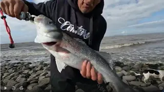 LILSTOCK BANK HOLIDAY MONDAY, #bristolchannel #BIGBASS