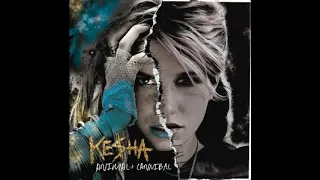 Kesha - We R Who We R ( Nightcore )