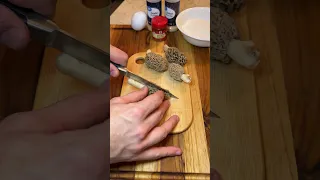 How to Cook Morel Mushrooms!