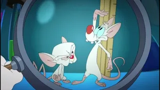 Pinky and the Brain 2020 theme but it's like the spin-off intro!