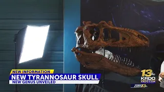 Woodland Park Paleontologists unveil the skull of a new genus of dinosaur