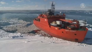 У берегов Антарктиды на мель сел ледокол (новости)