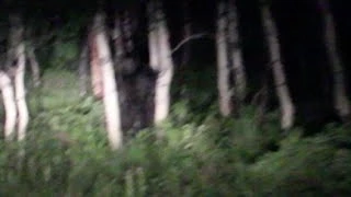 Bigfoot Sighting near Sundance Utah slowed down