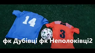 Футбол фк Дубівці - фк Неполоківці 2 огляд матчу 10.10.2020