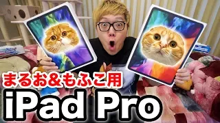 【開封レビュー】iPad Pro2020 フルスペックをまるお&もふこのために購入【メッセージ刻印入り】