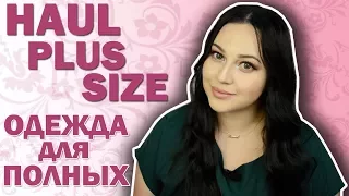 PLUS SIZE HAUL/ОСЕННЯЯ ОДЕЖДА БОЛЬШИХ РАЗМЕРОВ/ROMWE,SHEIN,ZAFUL